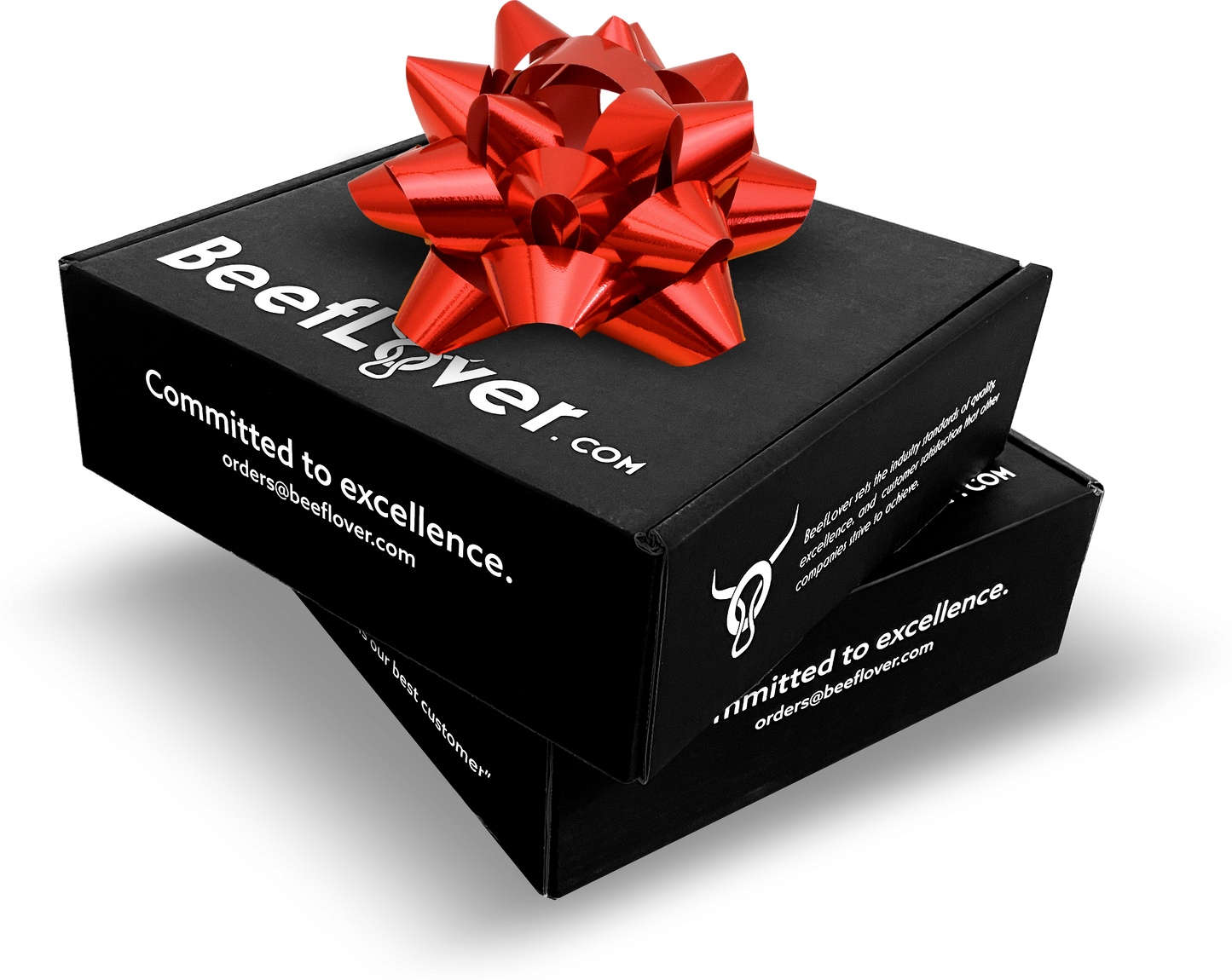 Gift Box (Medium)